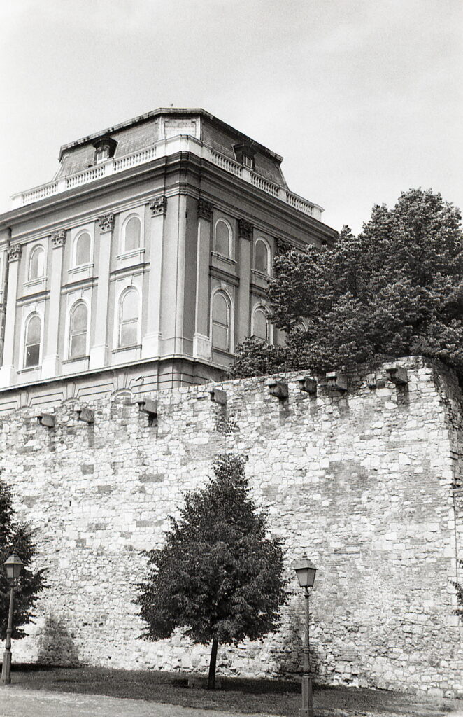 Kodak Retina IIa Ektar 5cm f3.5 Type 150-8936