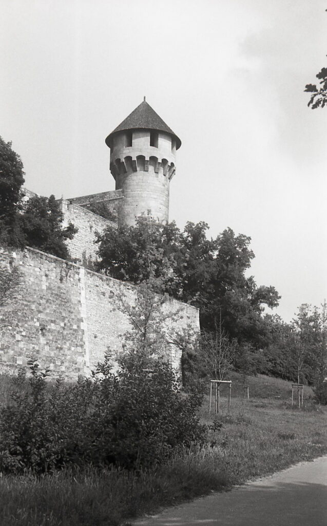 Kodak Retina IIa Ektar 5cm f3.5 Type 150-8939