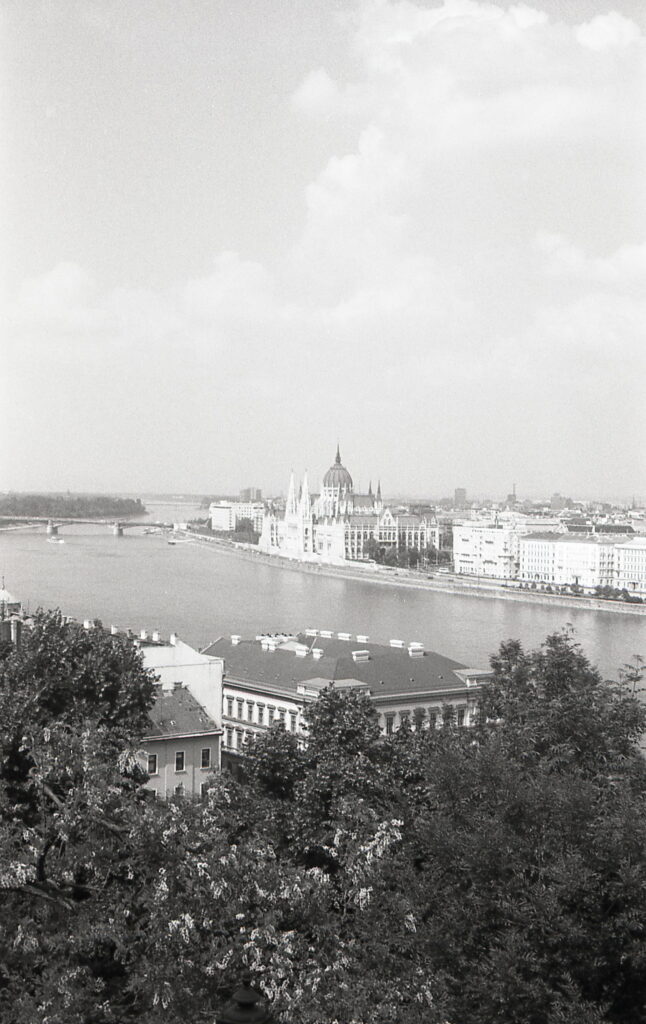 Kodak Retina IIa Ektar 5cm f3.5 Type 150-8947