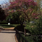 Kodak Retina Reflex III Sensia 100-9386