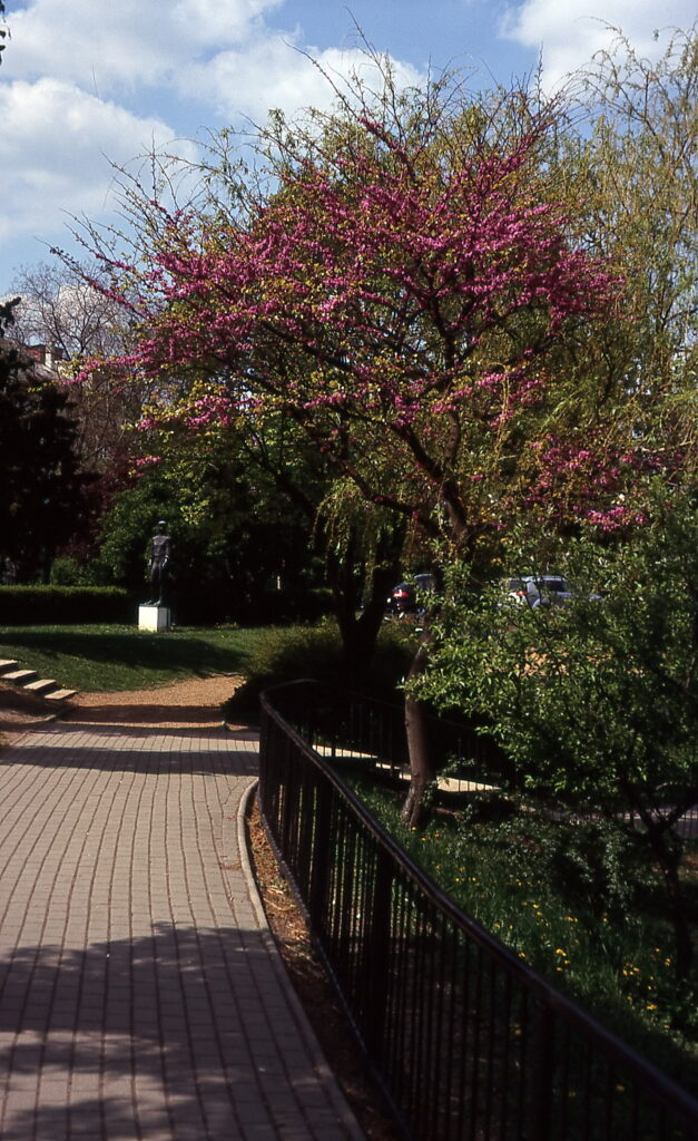 Kodak Retina Reflex III Sensia 100-9386
