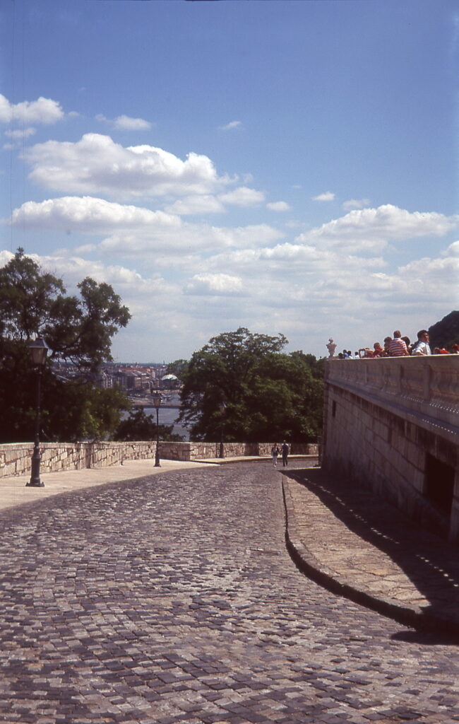 Kodak Retina IIa Fuji Sensia 100-9764