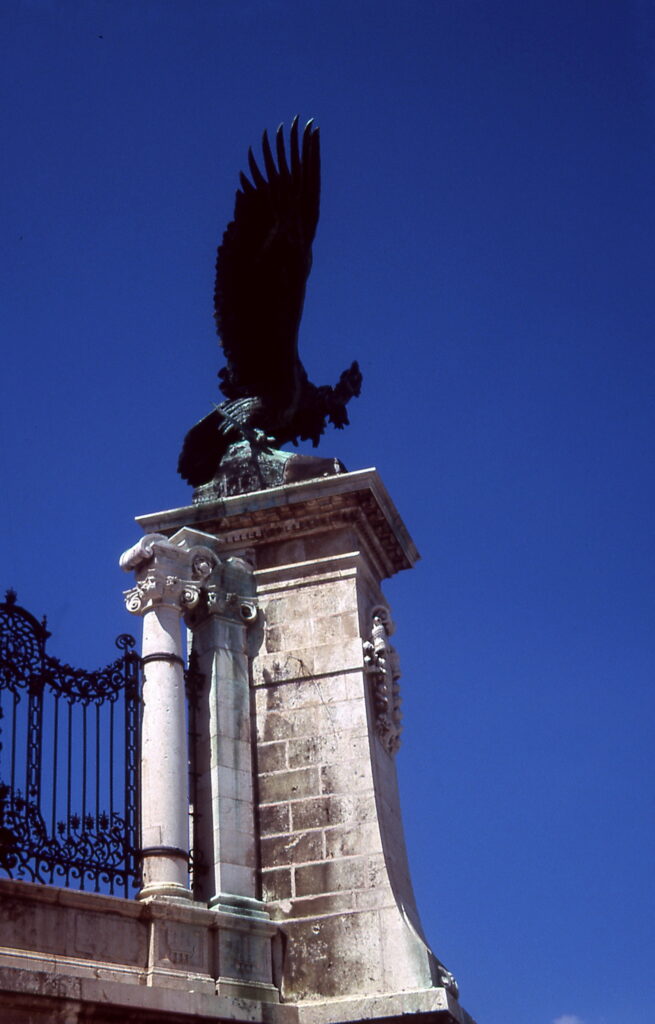 Kodak Retina IIa Fuji Sensia 100-9769