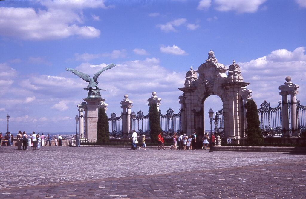 Kodak Retina IIa Fuji Sensia 100-9773