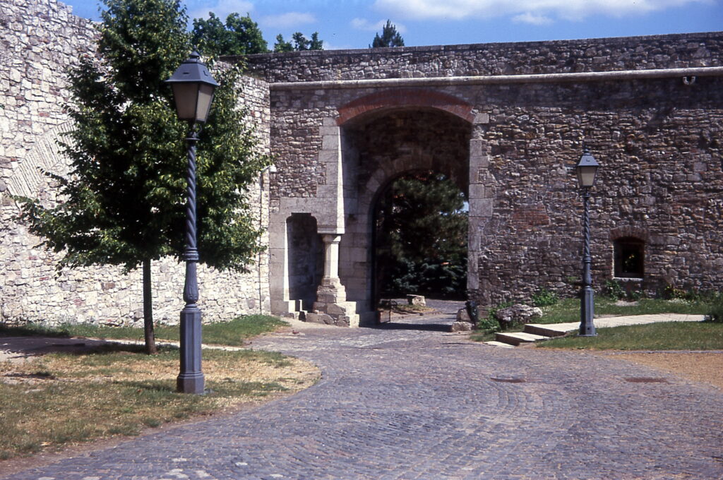 Kodak Retina IIa Fuji Sensia 100-9777
