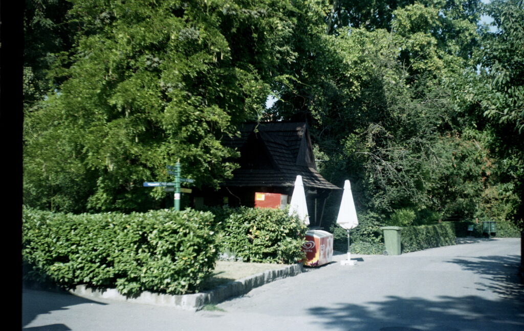 Kodak Retina folder pre-war 35mm-5377