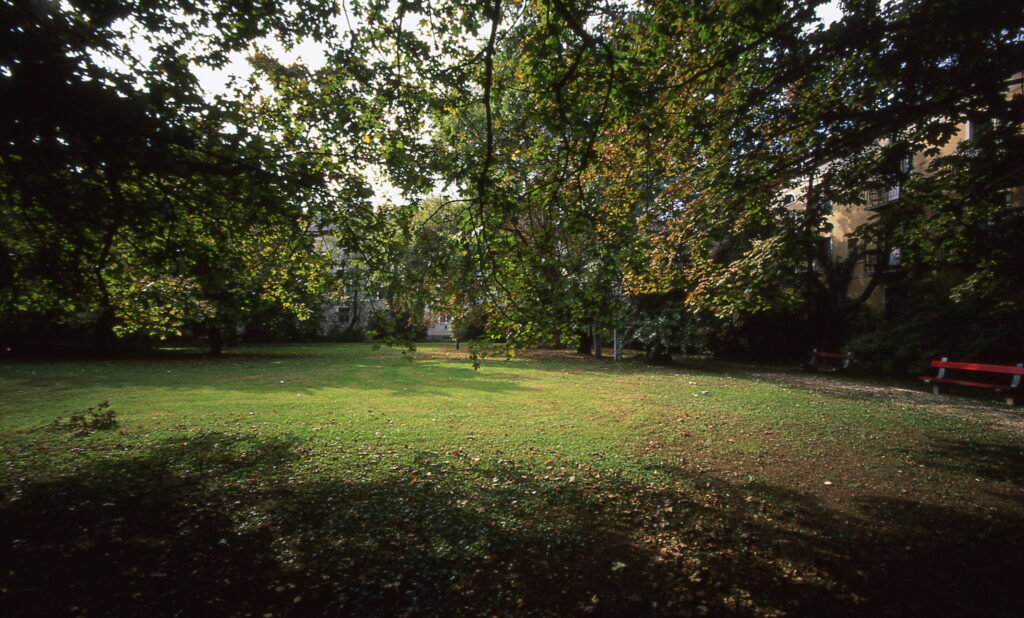 Bessa L Voigtlander 4/15mm Heliar Velvia 50-5494