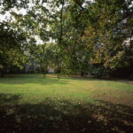 Bessa L Voigtlander 4/15mm Heliar Velvia 50-5494