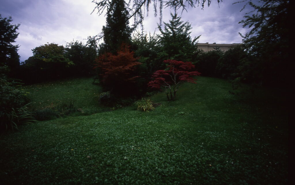 Bessa L Voigtlander 4/15mm Heliar Velvia 50-5495