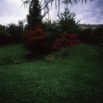 Bessa L Voigtlander 4/15mm Heliar Velvia 50-5495