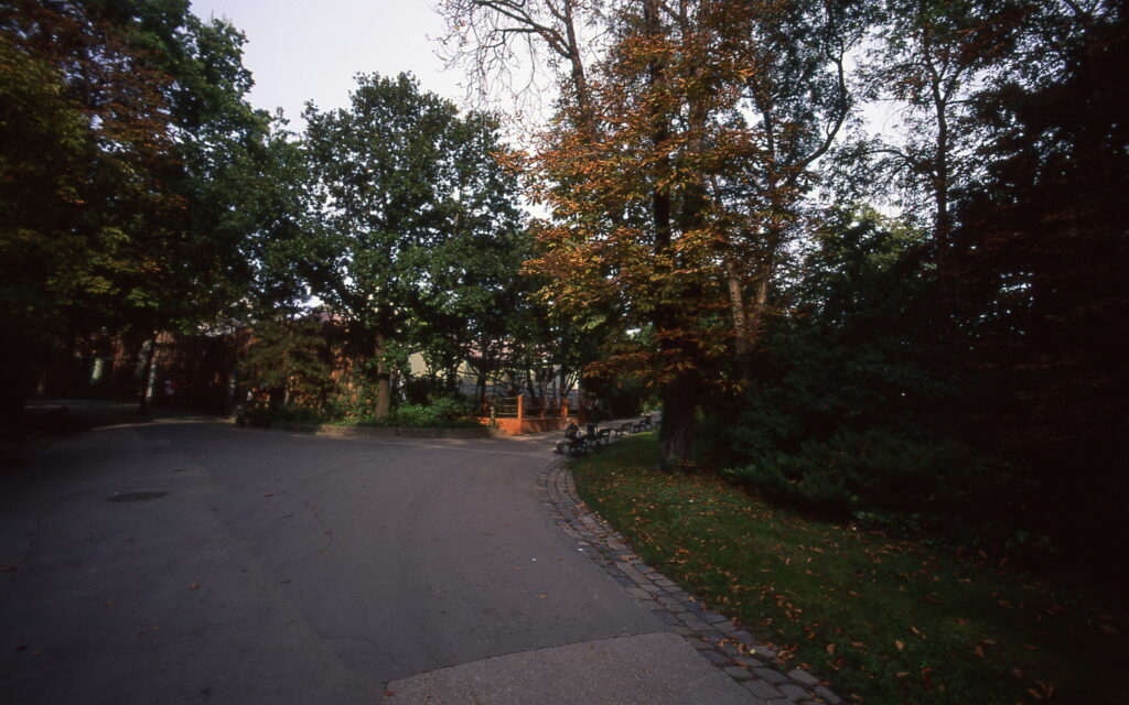 Bessa L Voigtlander 4/15mm Heliar Velvia 50-5499