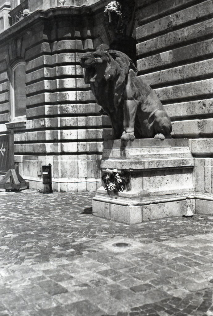 Bessa II Color-Skopar Fortepan 100-9297