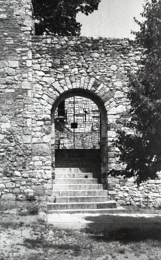 Bessa II Color-Skopar Fortepan 100-9295