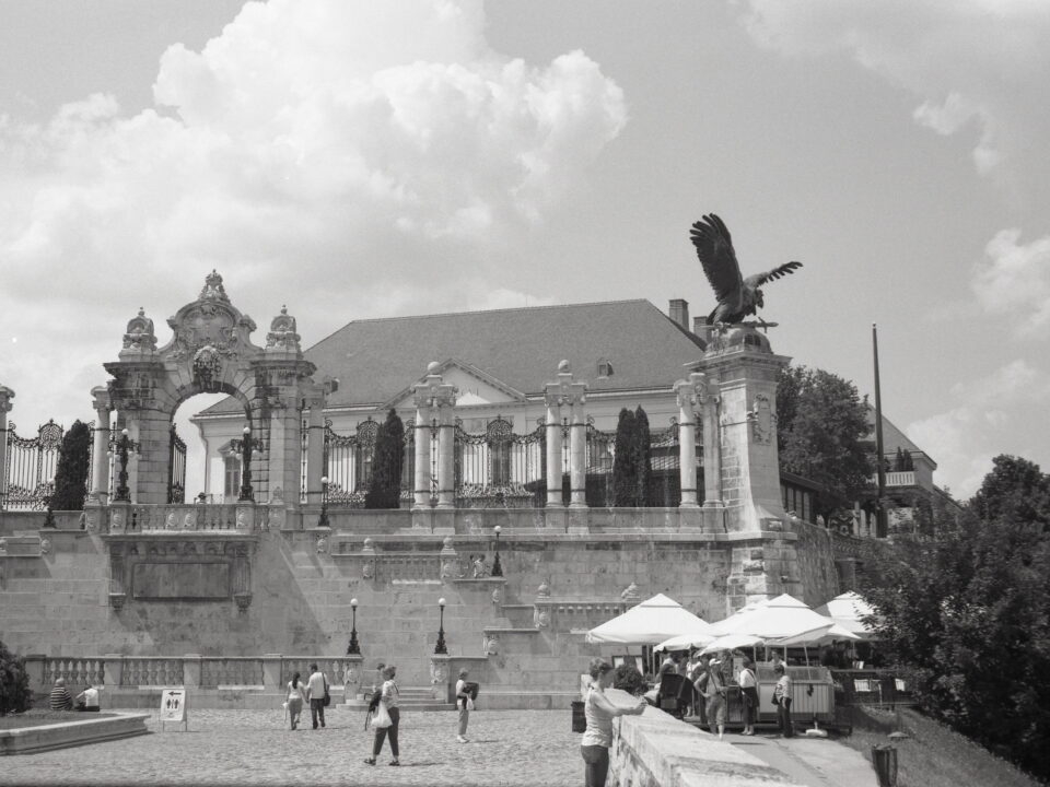 Bessa-II Color-Skopar Ilford FP4 ISO 125