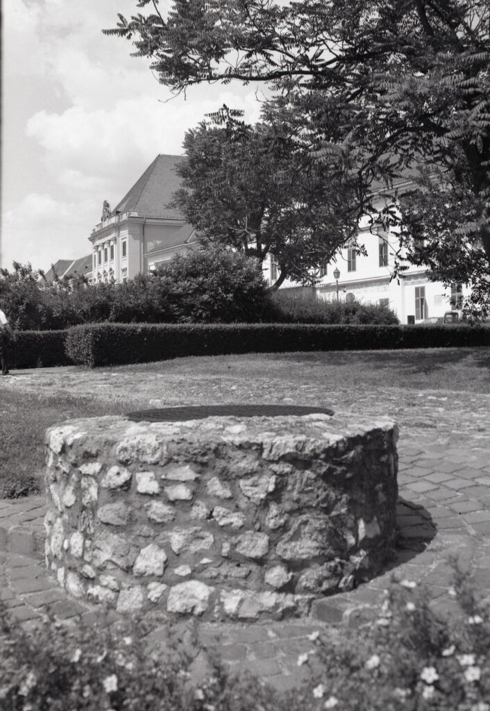 Bessa-II Color-Skopar Ilford FP4 ISO 125-9305
