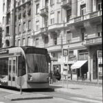 Bessa Voigtar-9577