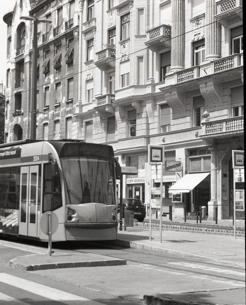 Bessa Voigtar-9577