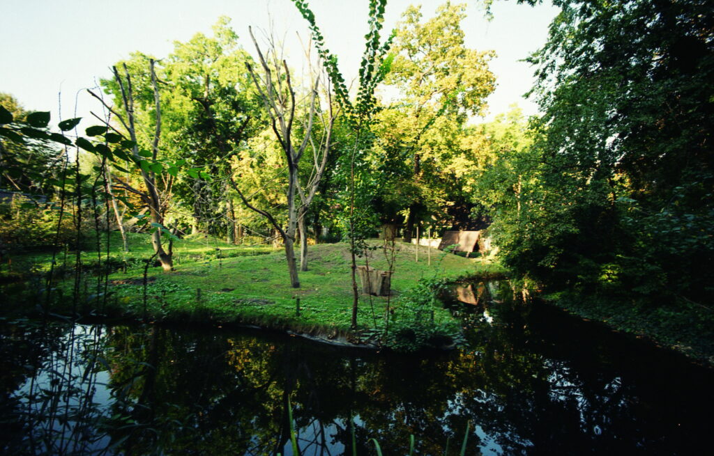Bessa L Voigtlander 4/15mm Heliar-5397