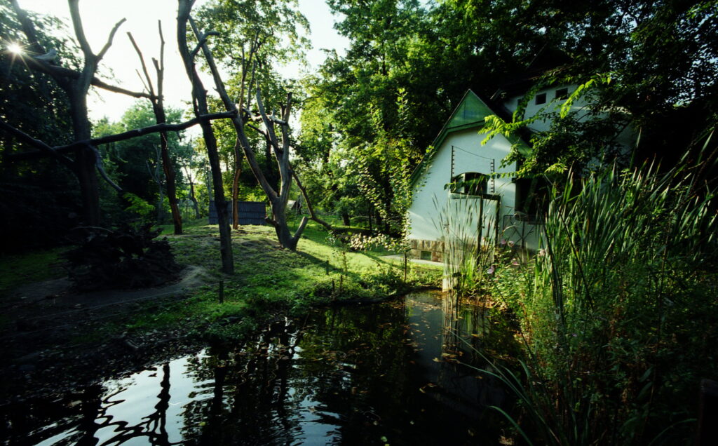 Bessa L Voigtlander 4/15mm Heliar-5398