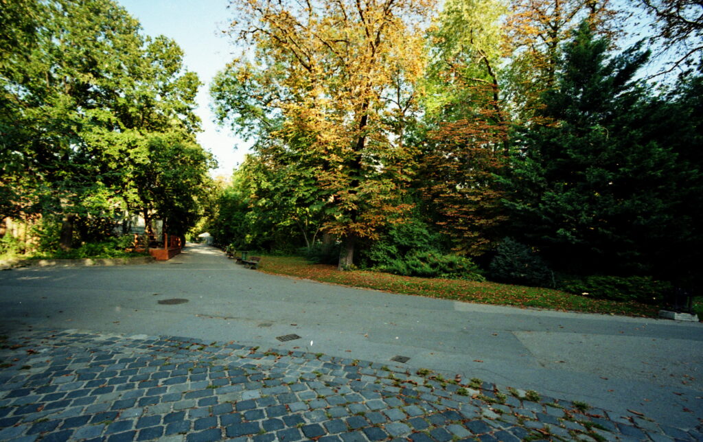 Bessa L Voigtlander 4/15mm Heliar-5399