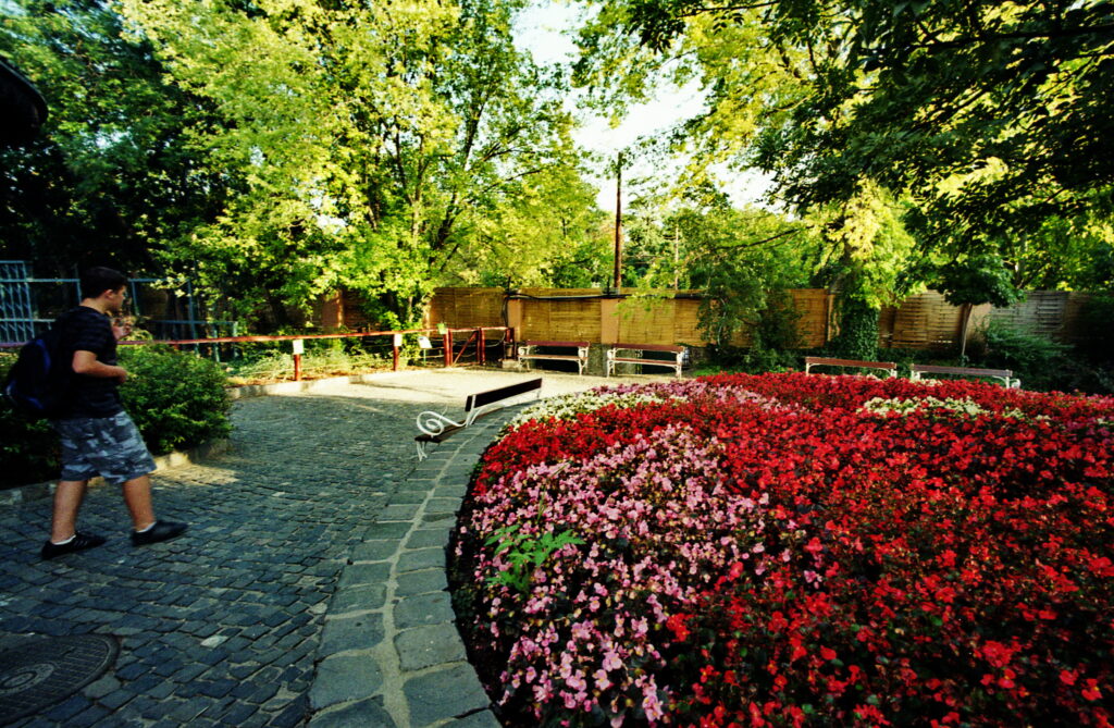 Bessa L Voigtlander 4/15mm Heliar-5402