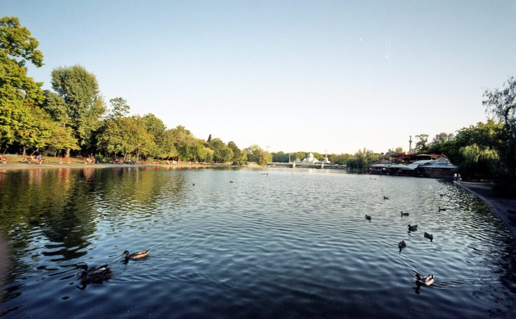 Bessa L Voigtlander 4/15mm Heliar-5405
