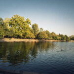 Bessa L Voigtlander 4/15mm Heliar-5406