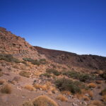 Bessa L Voigtlander 4/15mm Heliar-5561