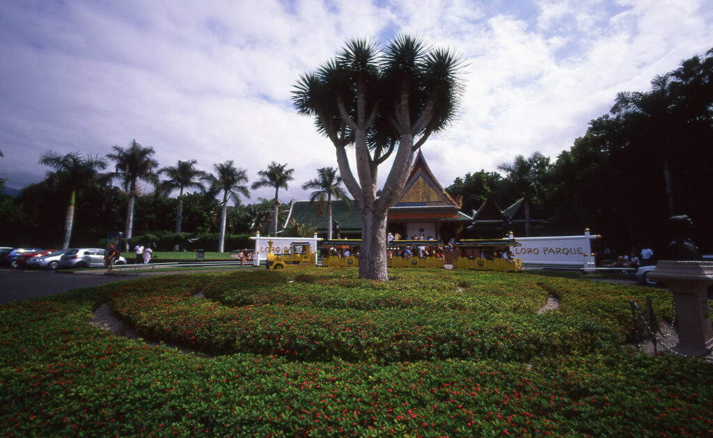 Bessa L Voigtlander 4/15mm Heliar-5569