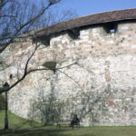 Bessa RF Heliar 10.5 cm 4.5 Fuji S160 Pro-8513