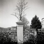 Voigtlander Superb-10457