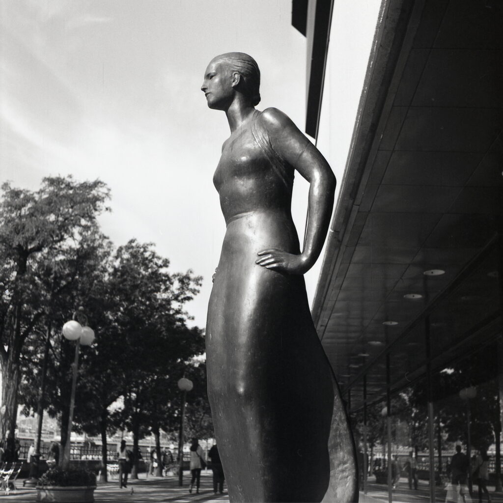 Ikoflex Opton-Tessar Fomapan 100-12232
