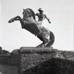 Ikoflex Opton-Tessar Fomapan 100-12239