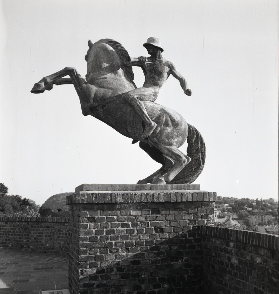 Ikoflex Opton-Tessar Fomapan 100-12239