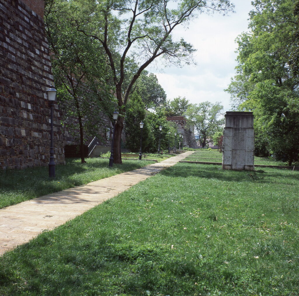Zeiss Ikon Nettar Novar Anastigmat 7,5cm f3.5-7395
