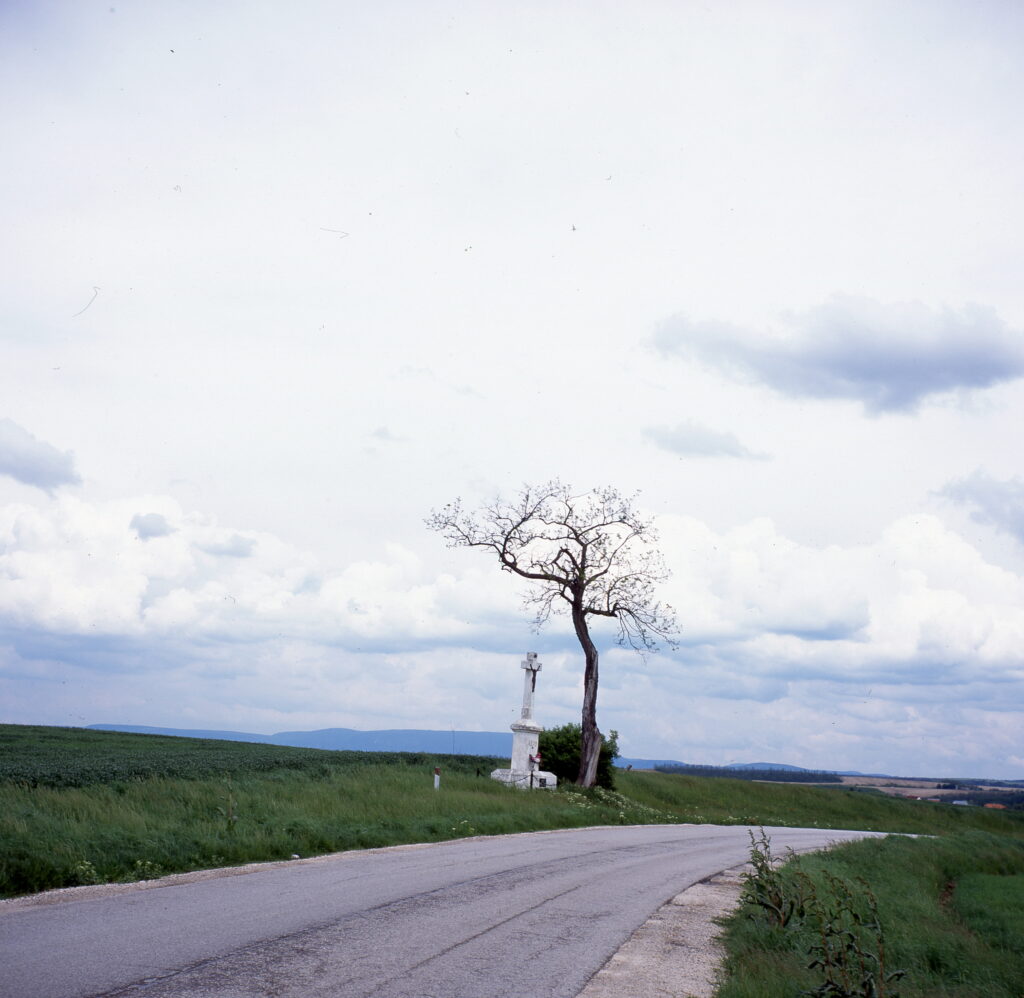 Zeiss Ikon Nettar Novar Anastigmat 7,5cm f3.5-7396