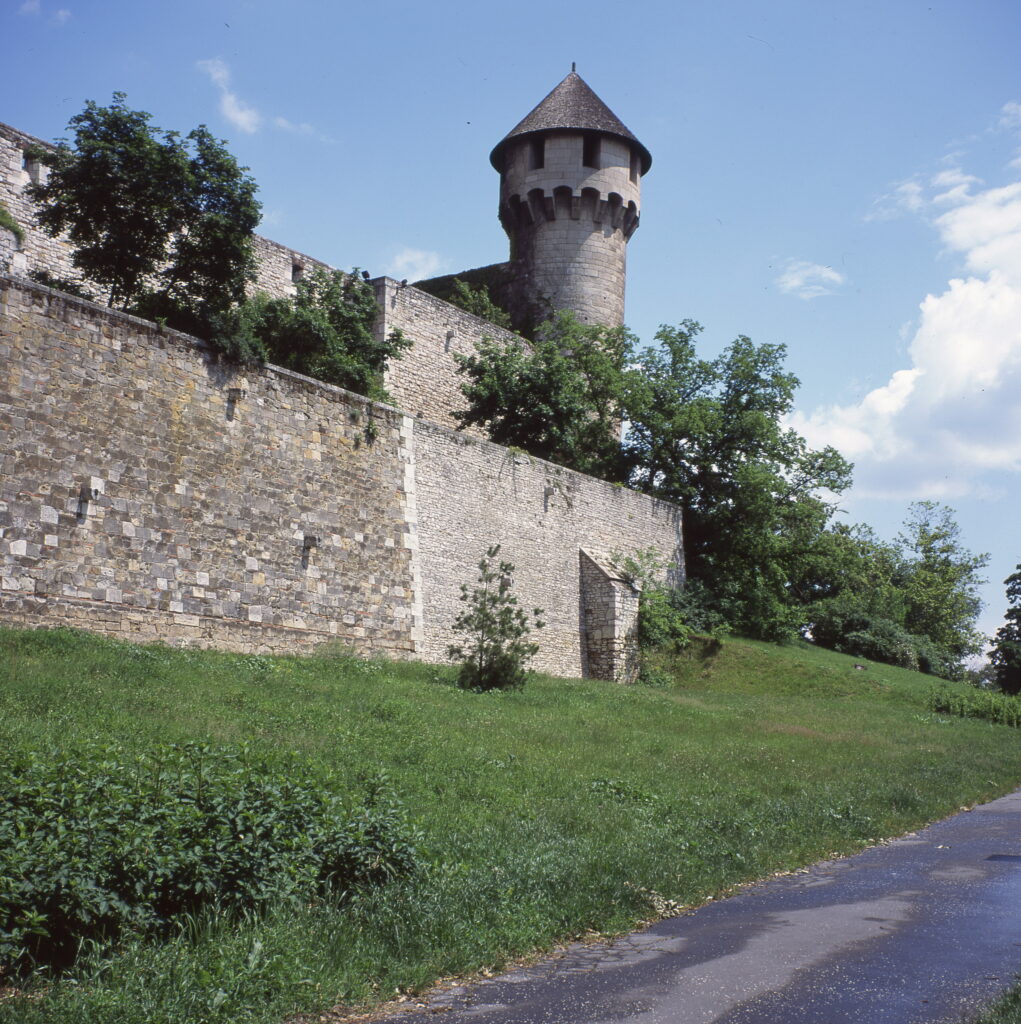 Zeiss Ikon Nettar Novar Anastigmat 7,5cm f3.5-7400