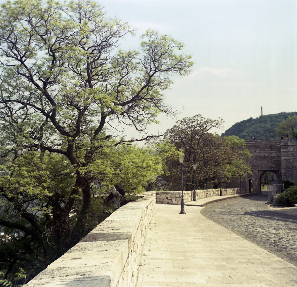 Agfa Isolette 8.5cm f4.5 Fuji Xperia -8994