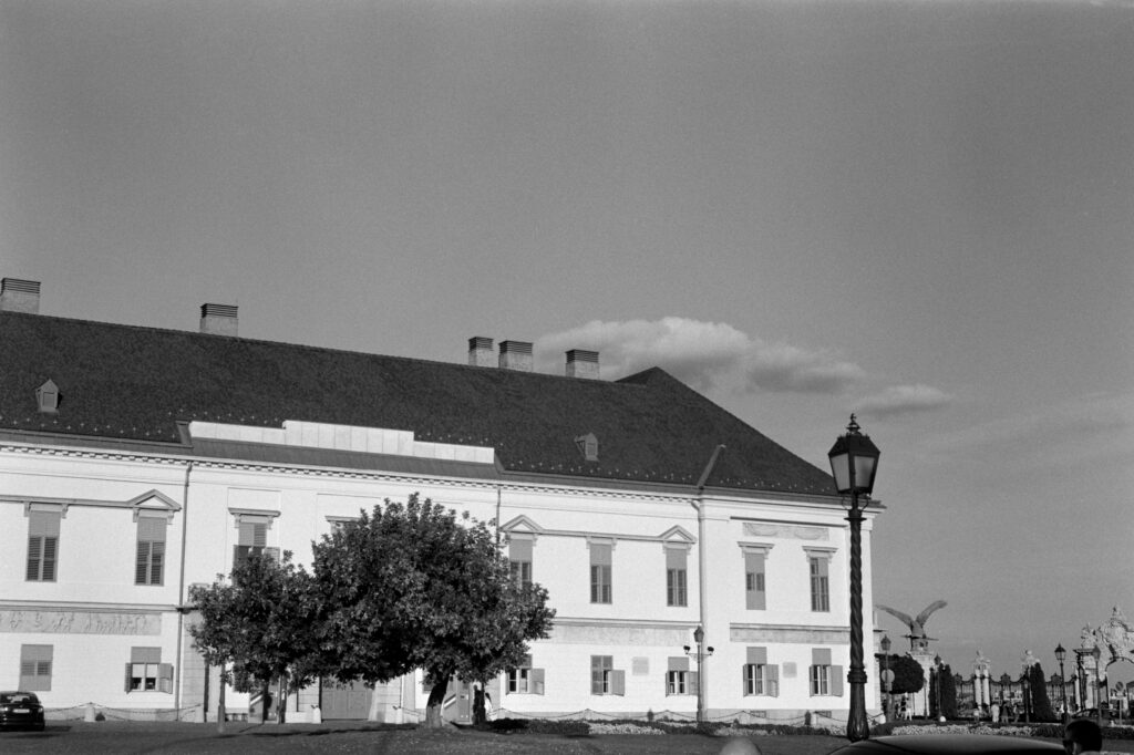Agfa Karat IV Solagon 50mm LP 100 D76-13571