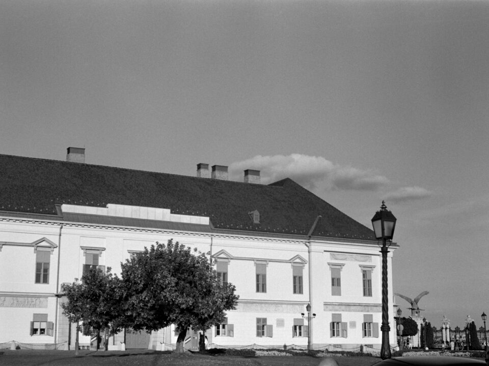Agfa Karat IV Solagon 50mm LP 100 D76