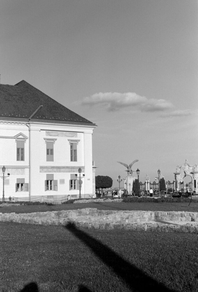 Agfa Karat IV Solagon 50mm LP 100 D76-13572