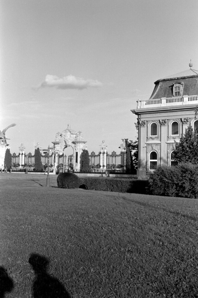 Agfa Karat IV Solagon 50mm LP 100 D76-13575