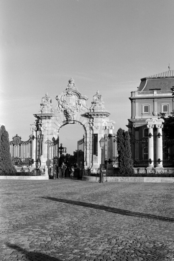 Agfa Karat IV Solagon 50mm LP 100 D76-13578
