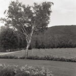 Agfa Super-Silette Agfa APX 100-9330