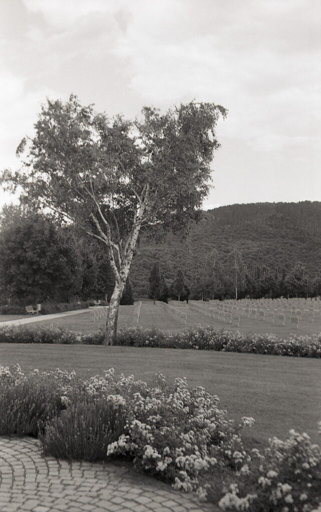 Agfa Super-Silette Agfa APX 100-9330
