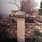 Agfa Colorflex C41 print film-11453