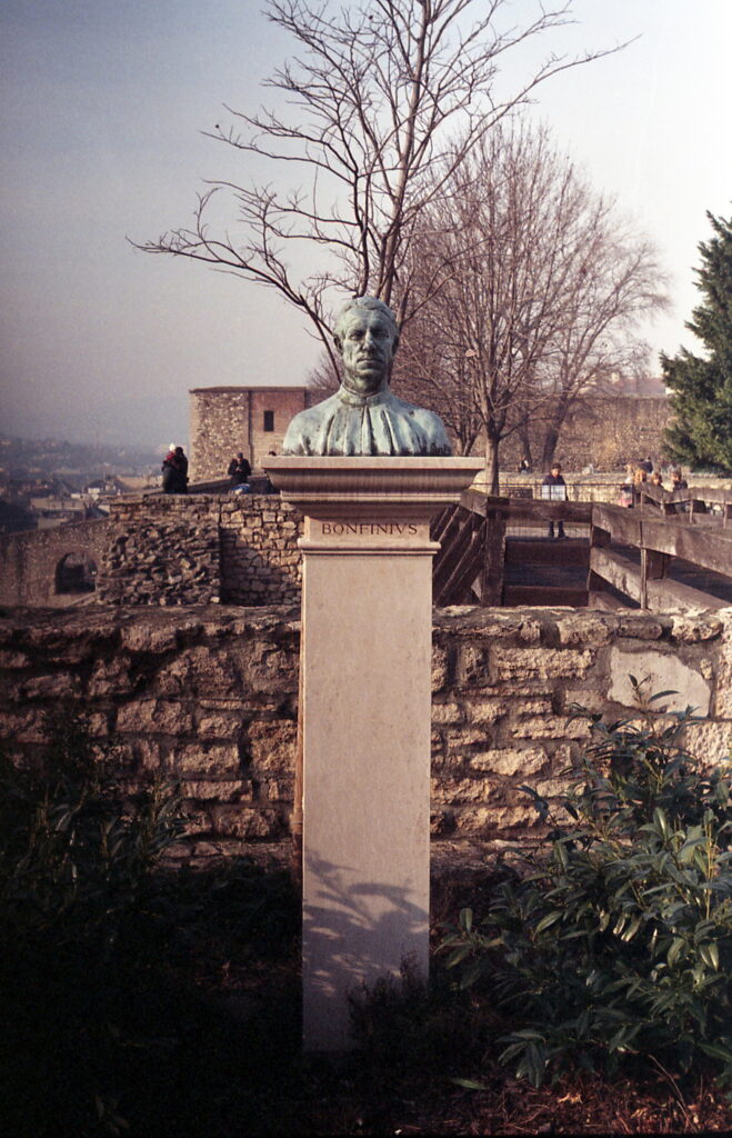 Agfa Colorflex C41 print film-11453