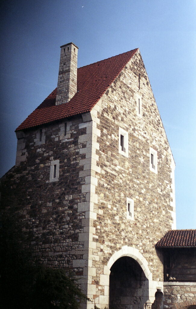Agfa Colorflex C41 print film-11456