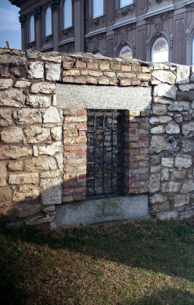 Agfa Colorflex C41 print film-11457