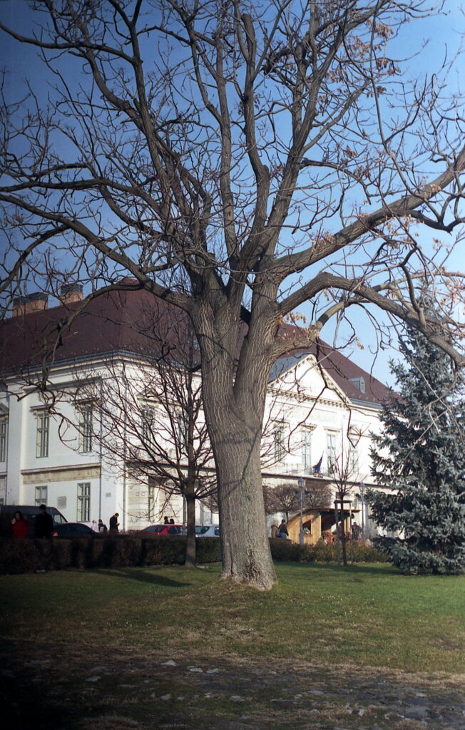 Agfa Colorflex C41 print film-11458
